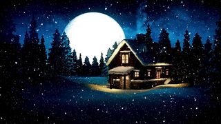 Winter Coat - id | Trending HD Video 46