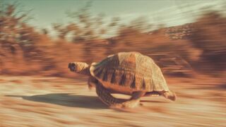 Funnyfuzzy - id | Trending HD Video 37