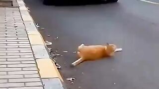 DON'T CHECK THE SOUND 3