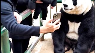 How The Panda Saves The Baby? #panda #baby #zoo
