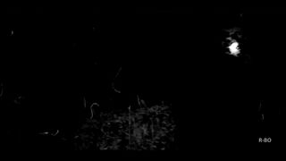 The Kuntilanak ghost was clearly seen playing on the swing at the haunted villa