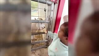 Funny Videos Part 53
