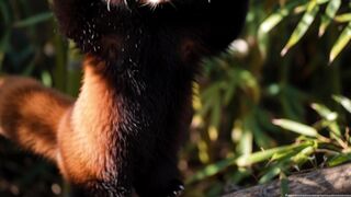 Funny Gift Ideas | Trending HD Video 3