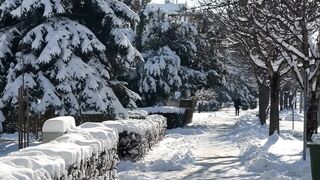 Winter Coat - snowy winter pathway in serene park | Trending HD Video