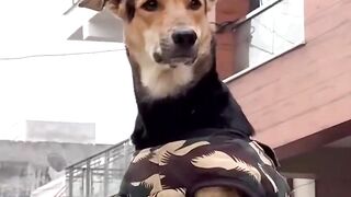 How do I look today?