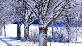 Winterhalter - id | Trending HD Video 52