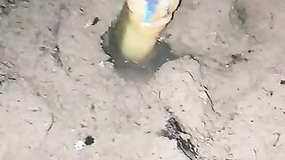 Looking for a fish or eel videos... Thanks for a fish or eel..!!