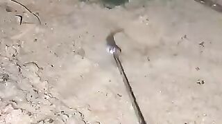Looking for a fish or eel... Thanks for watching.!!