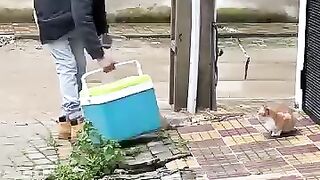 The big-nosed cat doesn't like any non-human friends. 2