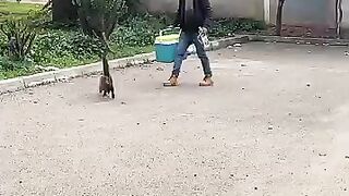 Every stray cat will run with incredible joy toward