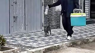 I'll make every cat obsessed with me