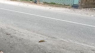 Truk angkut pasir
