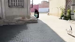 All stray cats will cross this lady's path