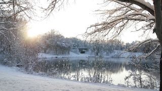Winter Coat - a lake in the snow with trees and a bench | Trending HD Video