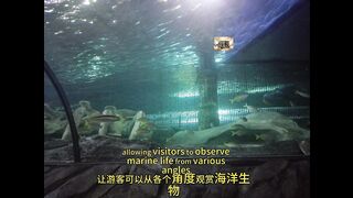 Sydney Aquarium