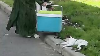 I built boundless trust with stray cats