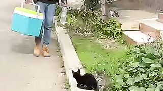I will be a second father to every stray cat