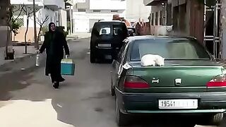 Two cats were relaxing on top of the car when I surprised