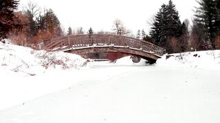 The Shy Snow Woman and the Cursed Ring - frozen river on a snow covered park | Trending HD Vide