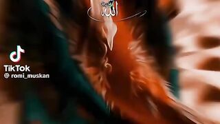 Islamic Video 84