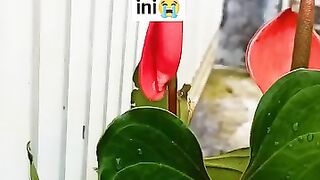 Jadilah 1000 orang pertama yang mengaminkan doa ini diwaktu yg berkah #doa #istiqomah #pinturezeki 3