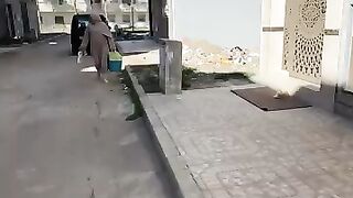 I will try to feed as many cute stray cats as possible