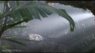 Jurassic Park (1993) - Clever Girl Scene (8/10) | Movieclips