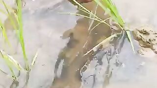 Looking for a fish or eel... Thanks for watching..!! 13