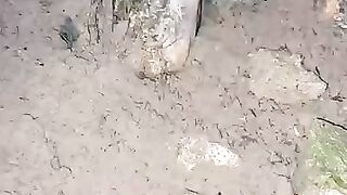 Looking for a fish or eel.. Thanks for watching..!! 34