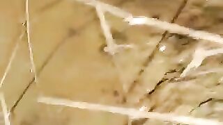 Looking for a fish or eel.. Thanks for watching..!! 35