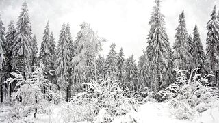 Winter solstice - id | Trending HD Video 52