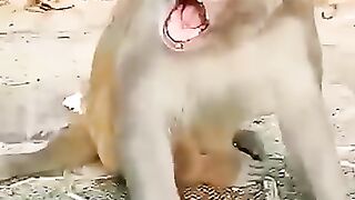 Funny Videos Part 55