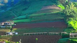 # natural scenery 6