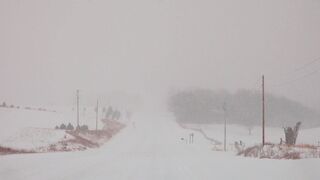 The Shy Snow Woman and the Cursed Ring - a road covered in snow | Trending HD Video