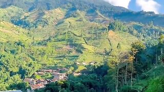 # natural scenery 13