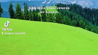 Quran 361