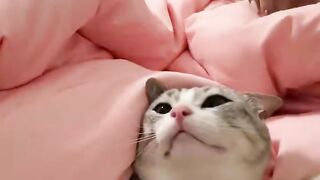 I just want kisses from mama