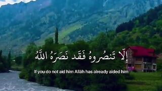 Quran Majeed Tilawat | Heart Touching voice