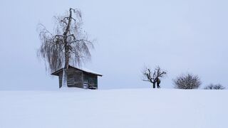 The Shy Snow Woman and the Cursed Ring - id | Trending HD Video 75