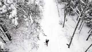 Winter solstice - a couple and a dog on a snowy forest | Trending HD Video