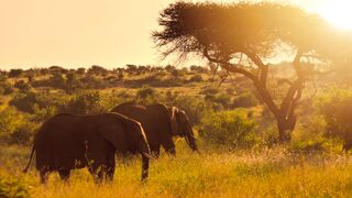 travelite - id | Trending HD Video 159