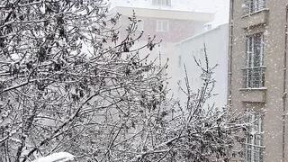 Snow boot - gently falling snow on urban winter day | Trending HD Video