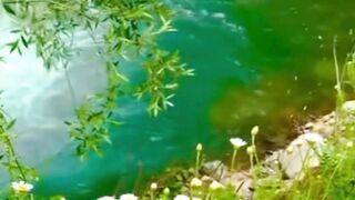 Beautiful nature 271