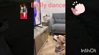 Dog got Bailly dance ????????