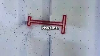 Professeur de physique Sigma, illusion de physique 101