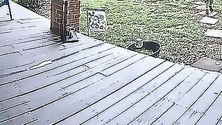 Funny Videos Part 59