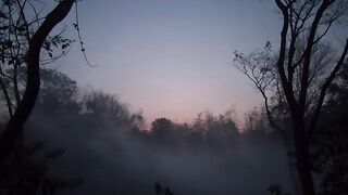 "In this dark, misty, cold air before sunrise, I wish you a world of sweet greetings. Good morning!"