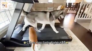 Funny Videos Part 62