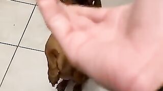 Funny Videos Part 63