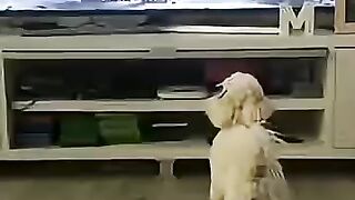 Funny Videos Part 64